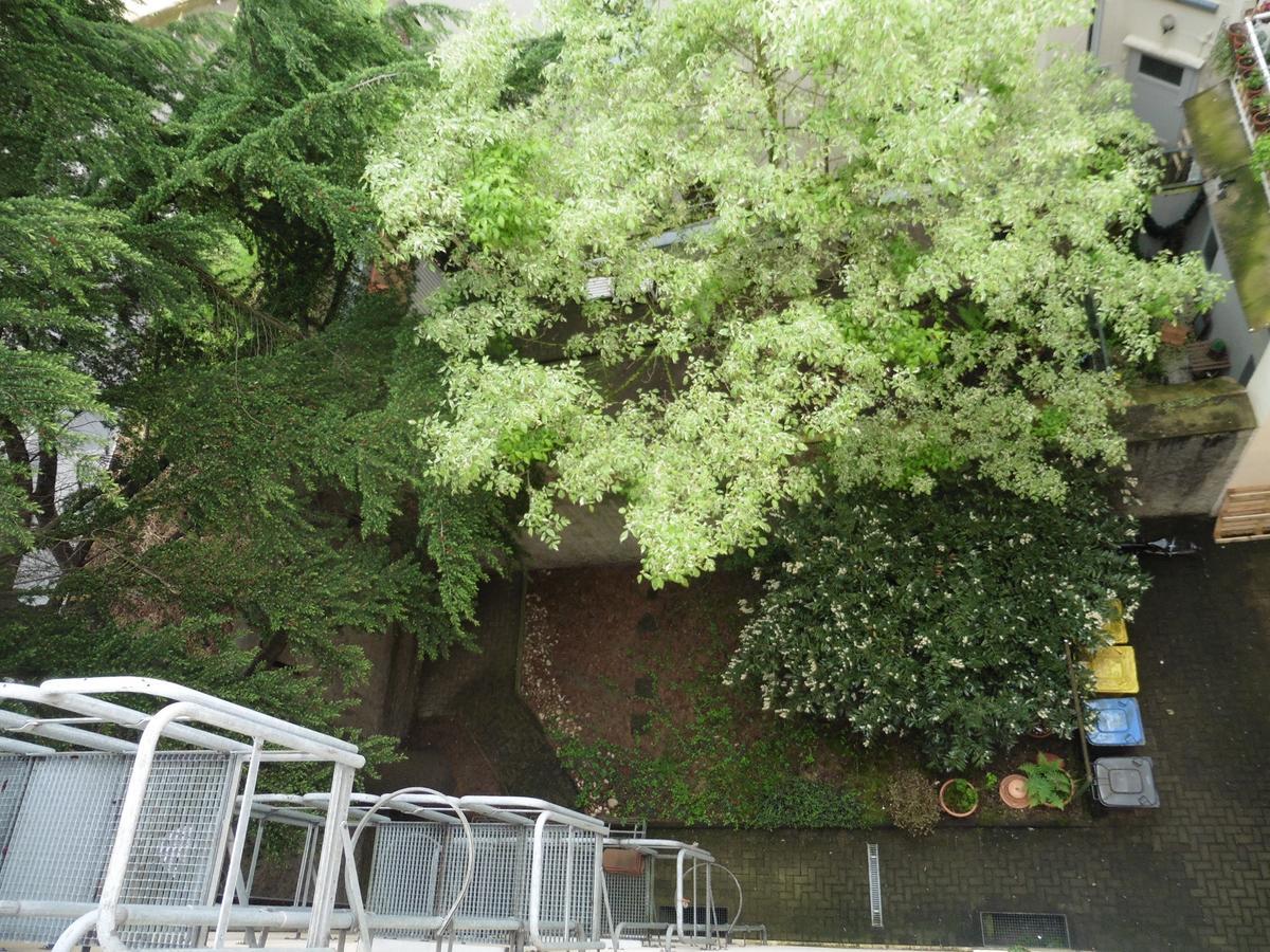 Hotel Gaestehaus Grupello Düsseldorf Zewnętrze zdjęcie